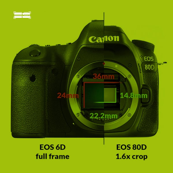 تفاوت دوربین فول فریم و کراپ سنسور | کدام بهتر است؟