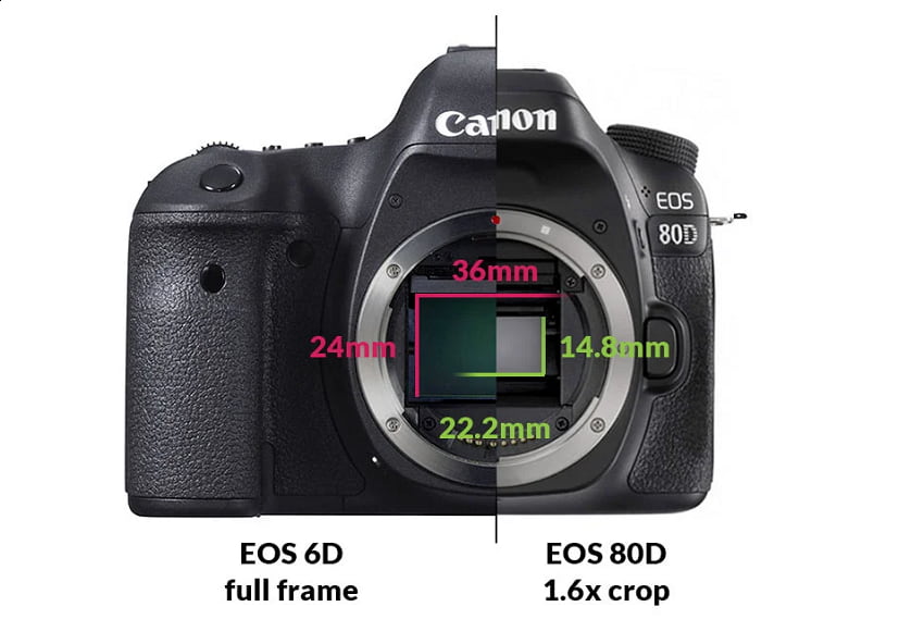 تفاوت دوربین فول فریم و کراپ سنسور